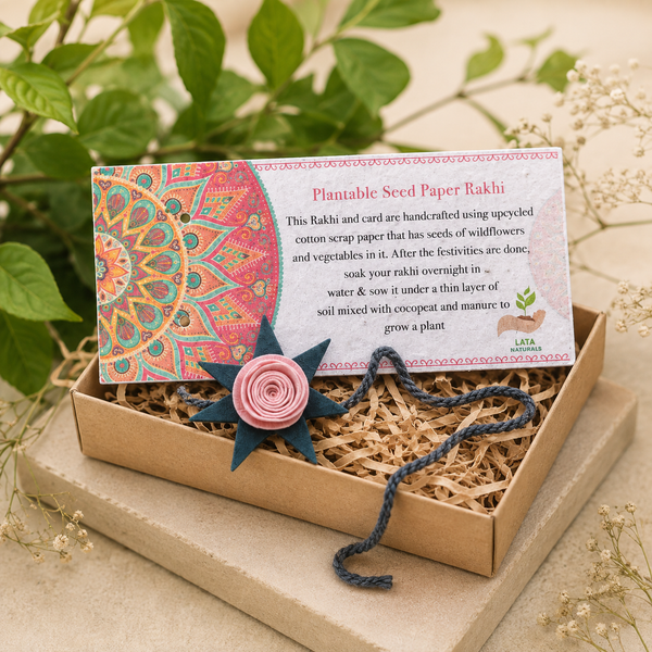 Premium Dry Fruit Gift Hamper (4 x 50g)